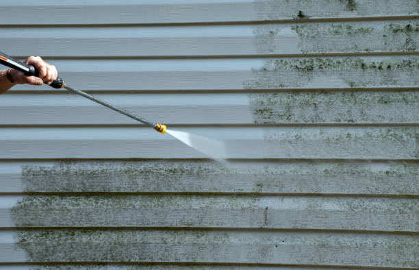 Best House Pressure Washing  in Cricket, NC